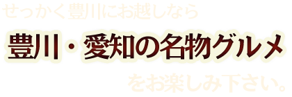 せっかく豊川にお越しなら豊川・愛知の名物グルメをお楽しみ下さい。